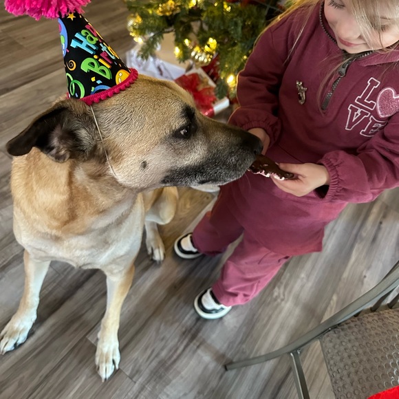 Bundle & Save! ❤️❤️ - Picture 7 of 7